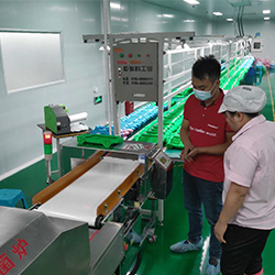 惠州臻暉電子安裝使用塑料金屬檢測儀